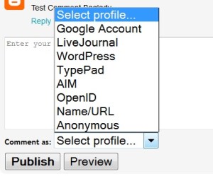 Blogger Comment Form