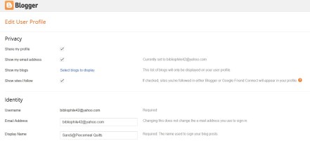 Blogger Profile Edit 1