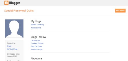 Blogger Profile