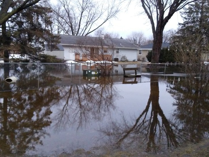 Backyard Flood at Piecemeal Quilts